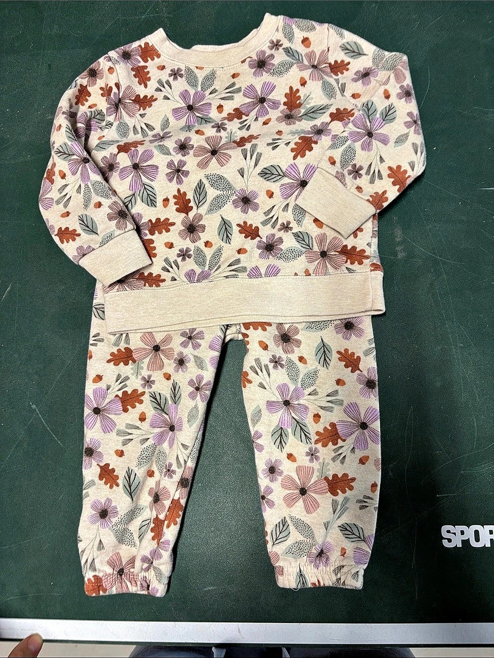 Garanimals Floral Baby Set in Cream & Purple Size 18M